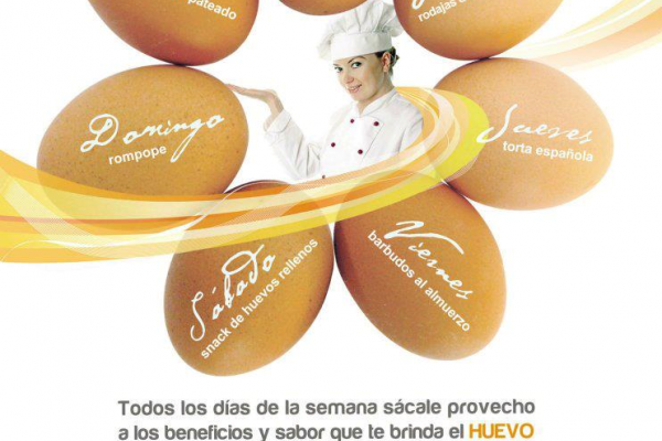 arte-canavi-